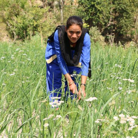 A woman in Nepal working on a farm